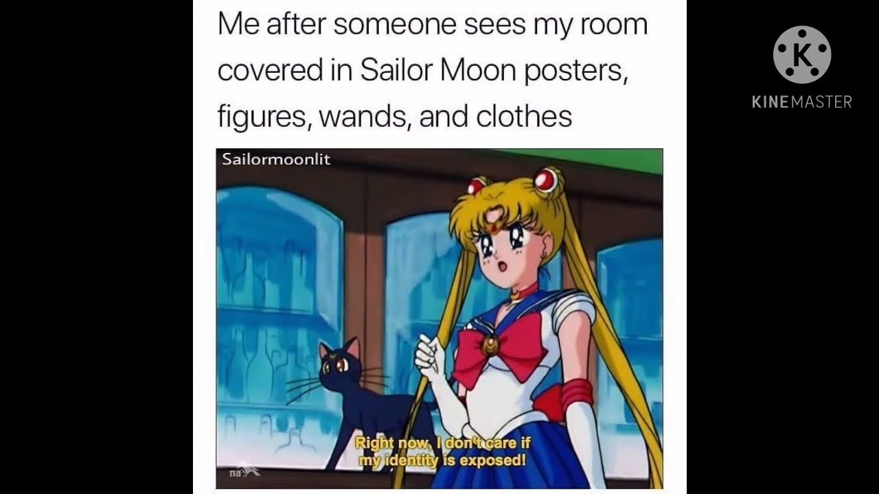 Sailor Moon Memes