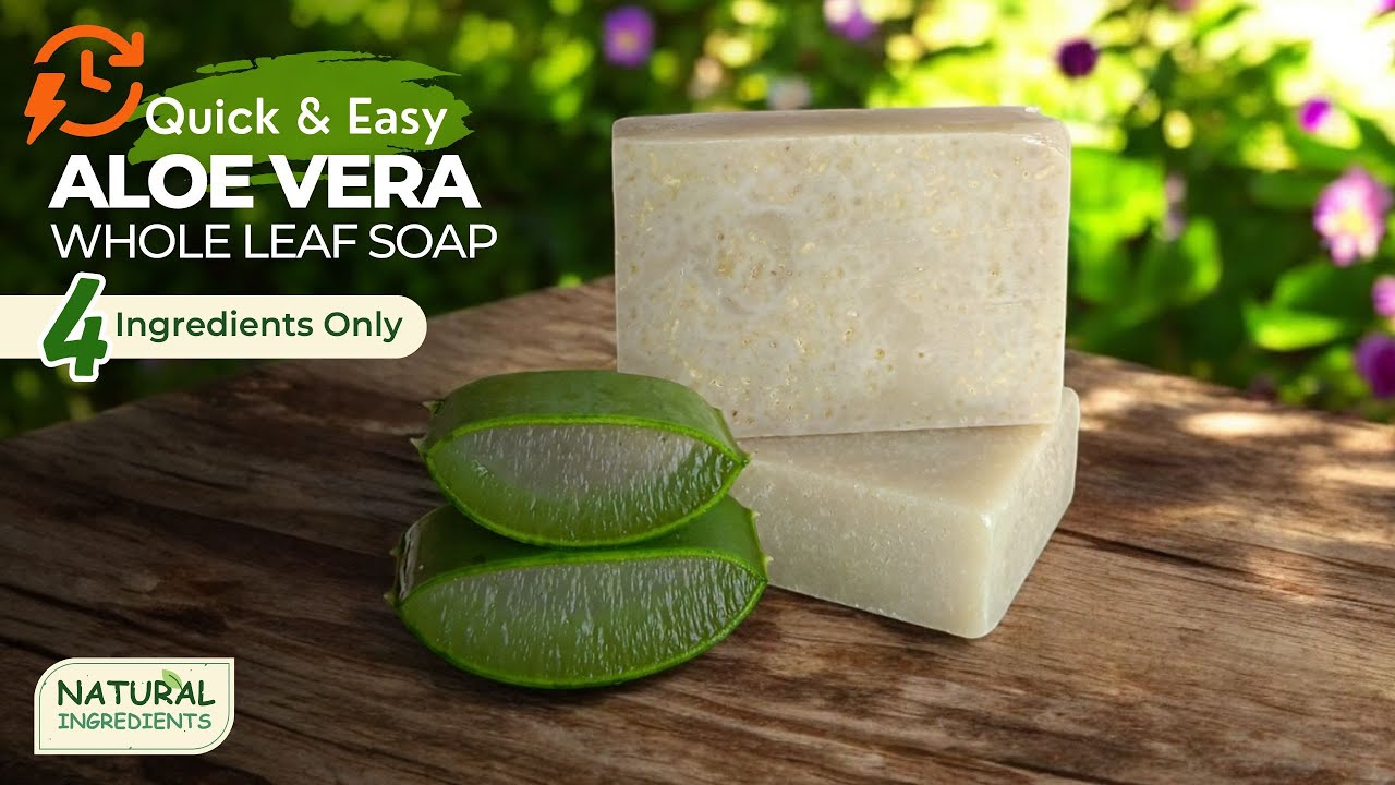 Quick and Easy Aloe vera Whole Leaf Soap