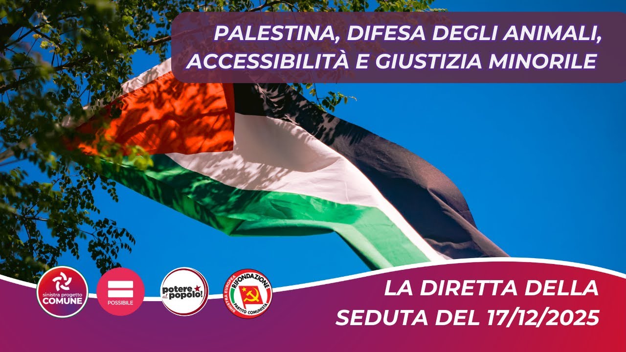 Palestina e mozioni approvate