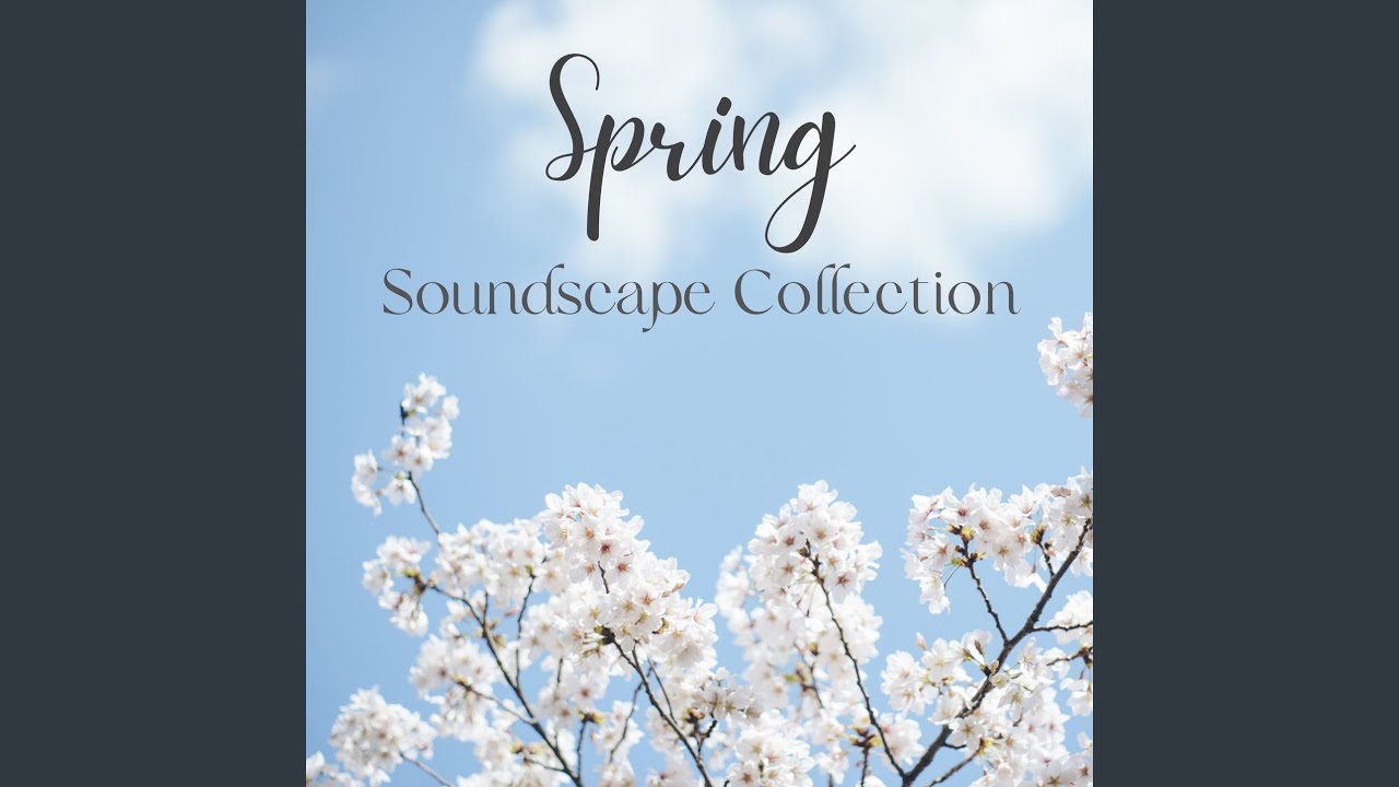 Spring Soundscapes