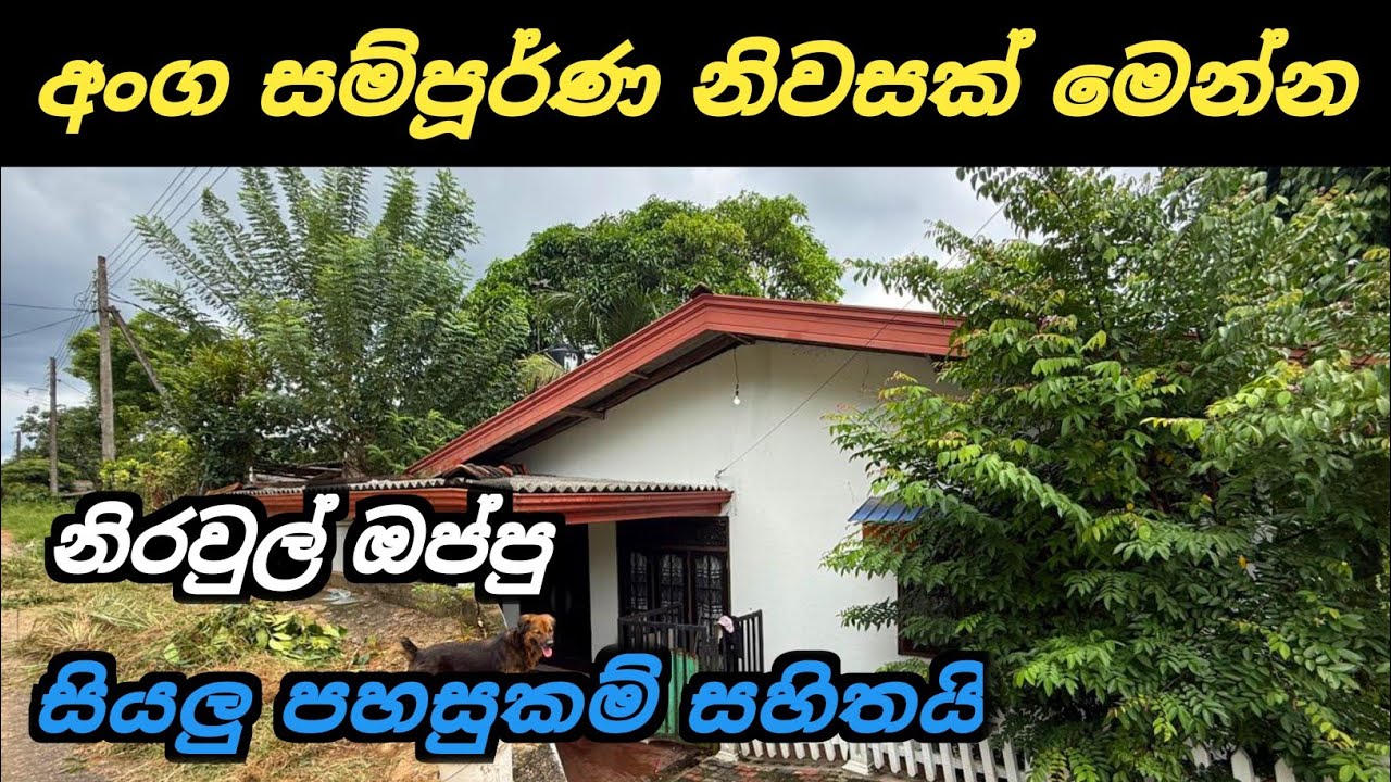සියලු පහසුකම් සහිත අංග සම්පූර්ණ නිවසක් | House for Sale | House Sale In Meegoda | Ikman Selling 