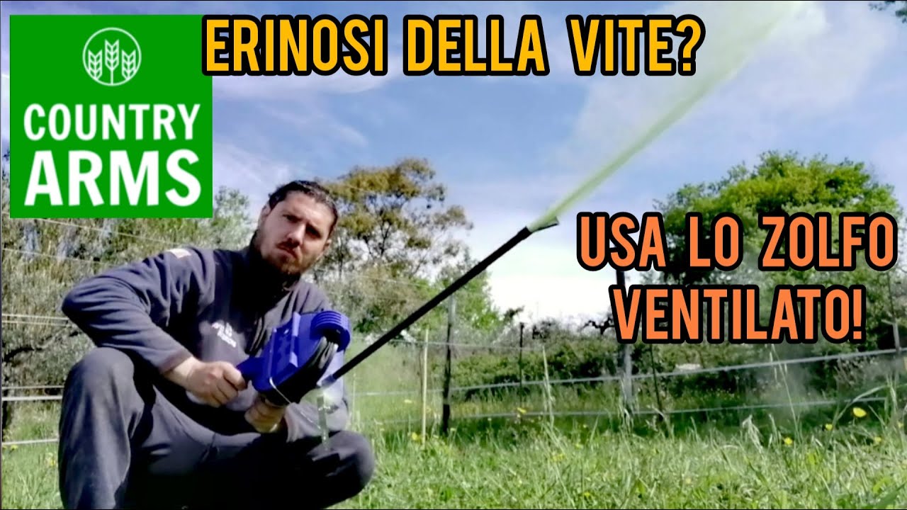 Trattamenti della vite: quando usare lo zolfo.