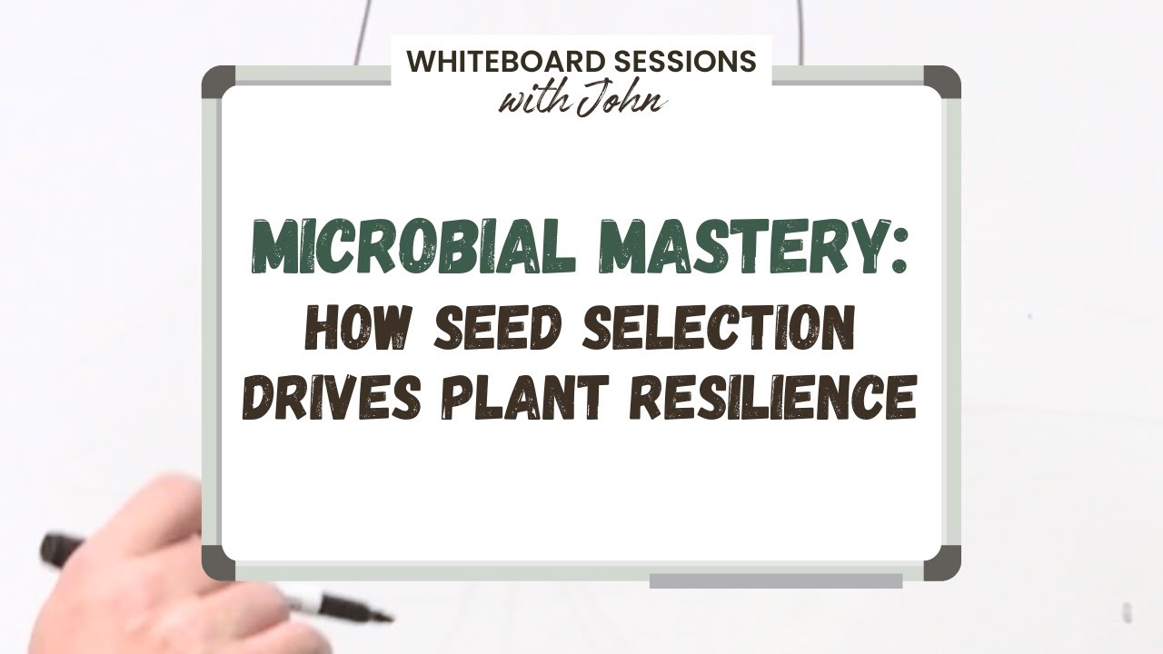 Microbial Mastery: How Seed Selection Drives Plant Resistance