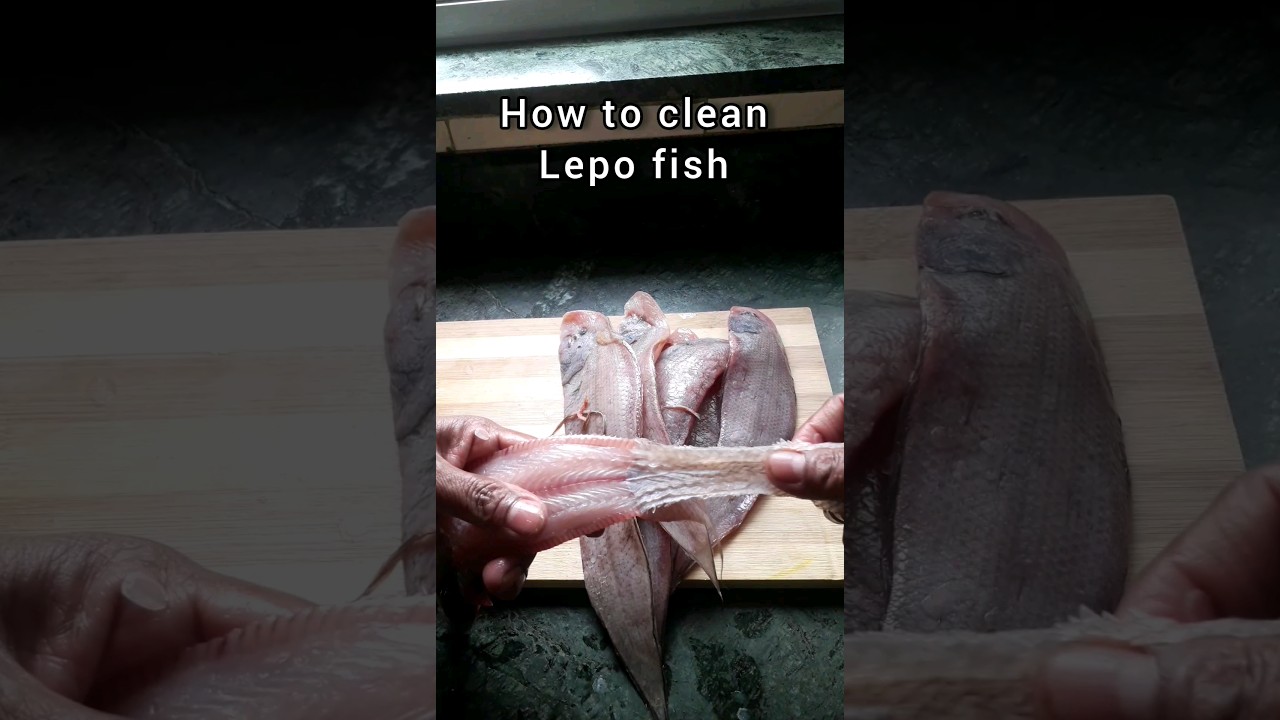 How to clean Lepo Fish #howtocleanfish #tonguesolefish #tonguefish #howto #cleanfish #fish #seafood