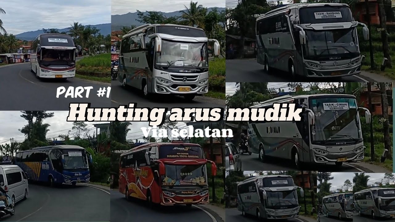 HUNTING BUS SELATANESE‼️BANYAK BUS BUS UTARA YANG VIA SELATAN MOMENT 1 TAHUN SEKALI #busmania#basuri