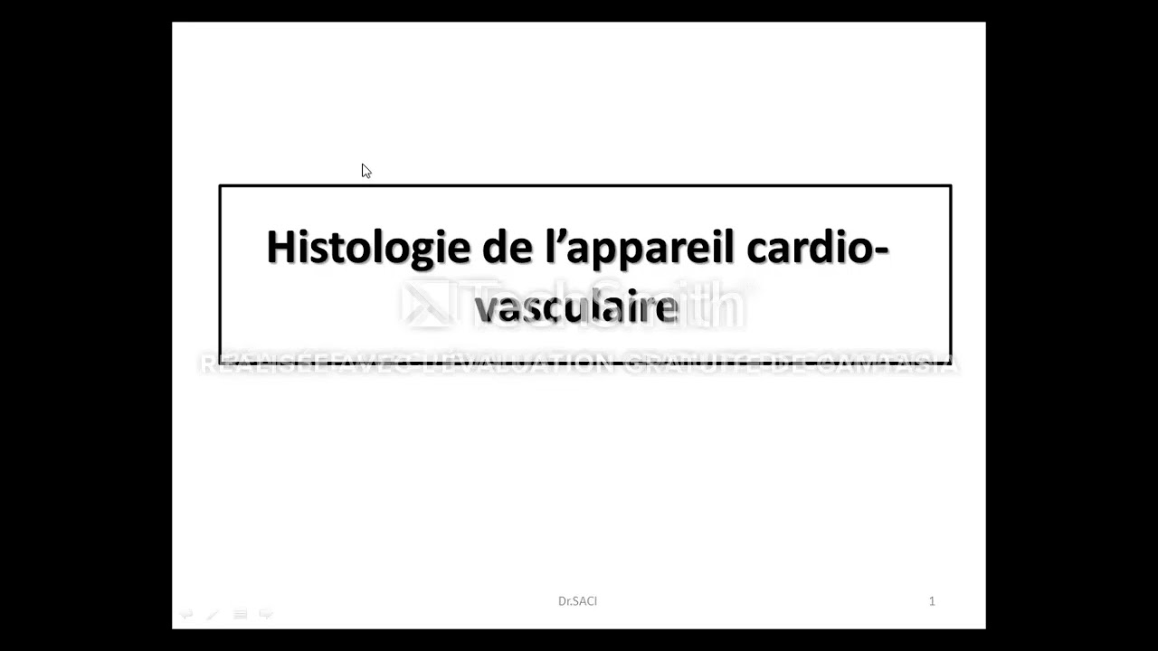 histologie de l'appareil cardio-vasculaire ( partie 1)
