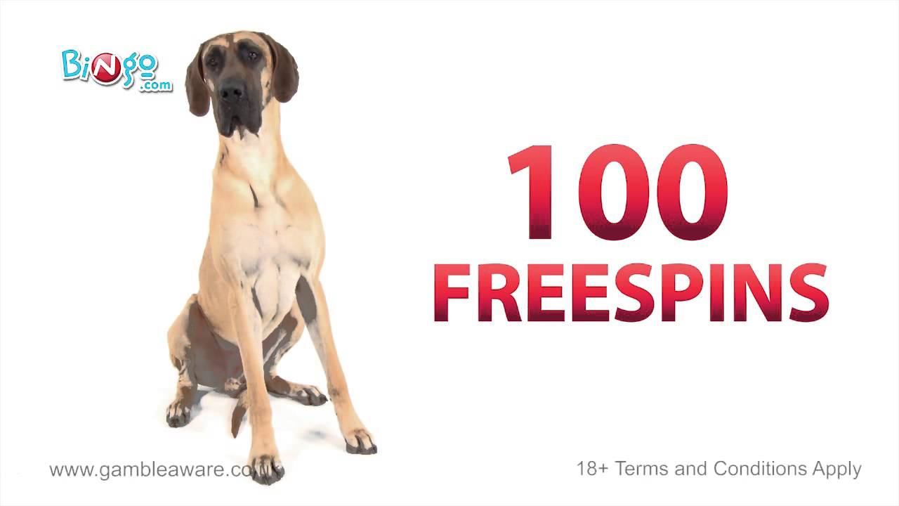 Bingo.com 100 free spins + 200% welcome bonus | NetEnt Casino | Big Jackpot slot games