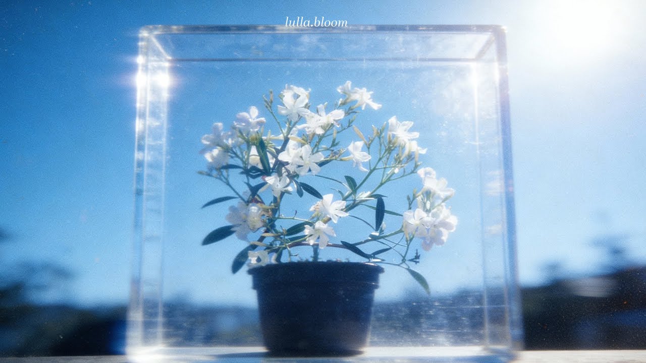 [Playlist] 집중이 잘 되는 날 ☁️ in Blue Air | K indie R&B | cafe music for study, work, focus & relaxation