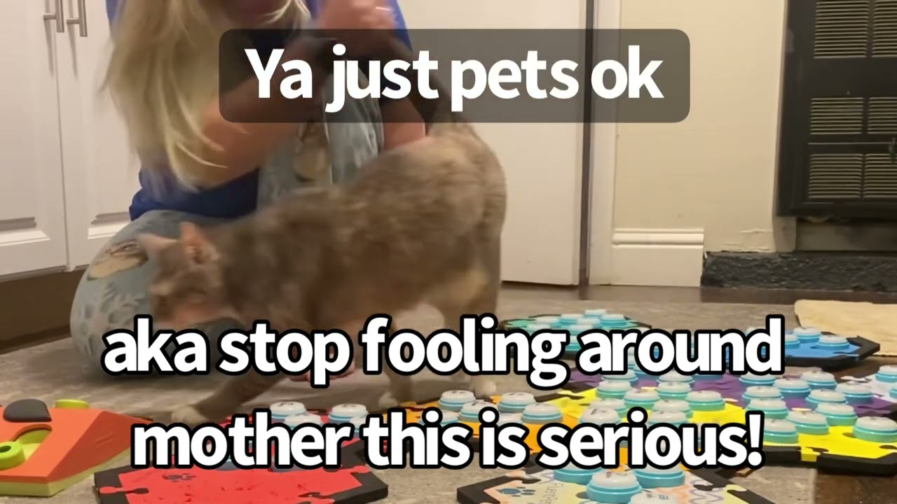 That’s The Spot | BilliSpeaks