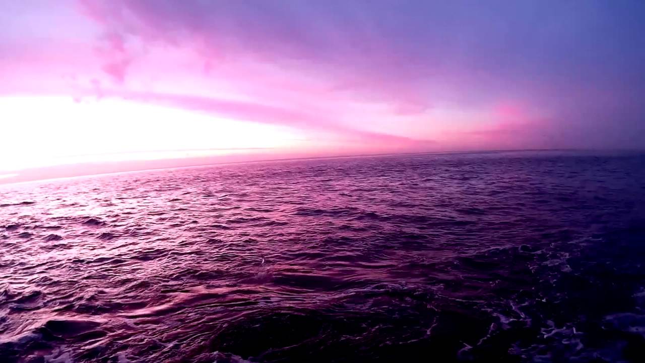 pesca spinning pejerrey anjova