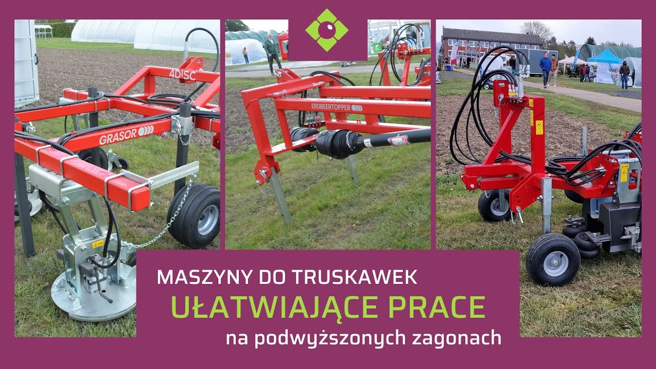 Maszyny do truskawek na podwyższonych zagonach. Nowości podejrzane w niemieckim Centrum Badawczym