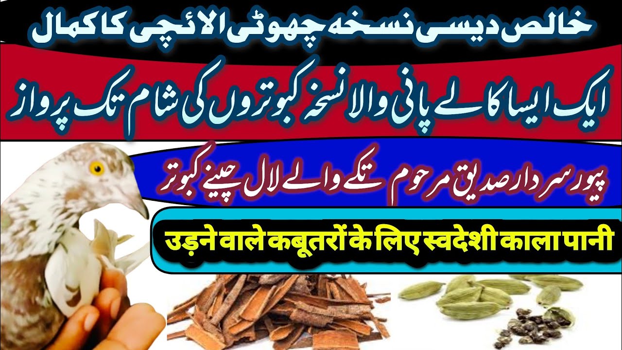 Khalas Desi Nuksa Chooti ilaichi Ka Kamal || Kale Paani Wala Nuksa || काला पानी की रेसिपी
