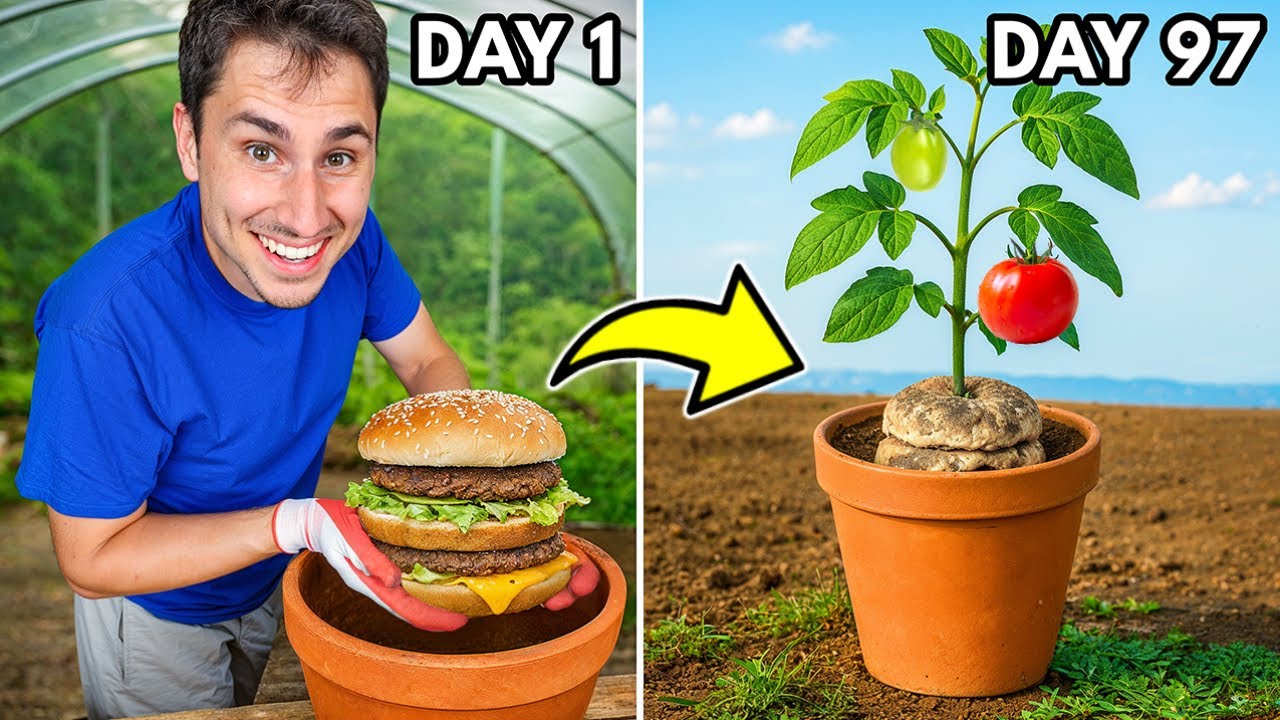 Can I Grow a Garden from a McDonald's Big Mac?