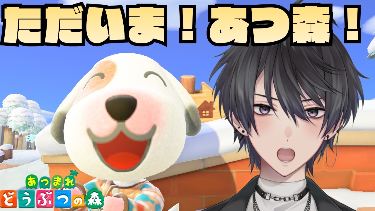 【あつ森】久しぶりのあつ森に体を慣らす！【あつまれどうぶつの森】