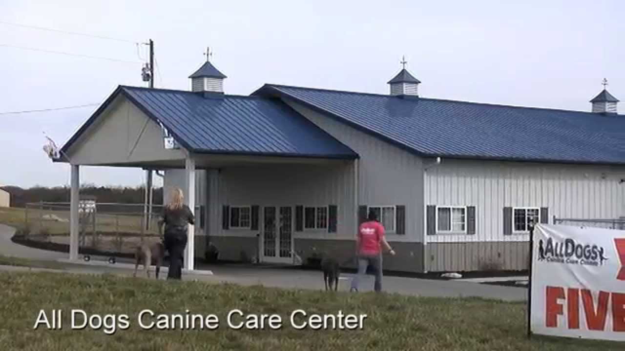 All Dogs Canine Care Center