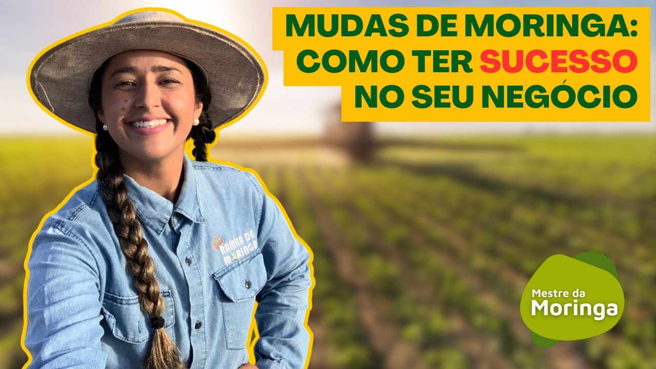 Como produzir mudas de moringa