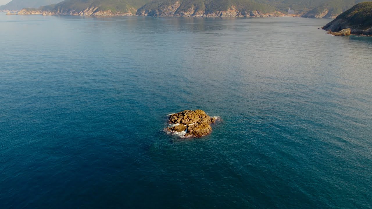 大型回遊魚が潜む小さな島にヨネスケ氏と上陸。いきなり大型が食ってきた・・