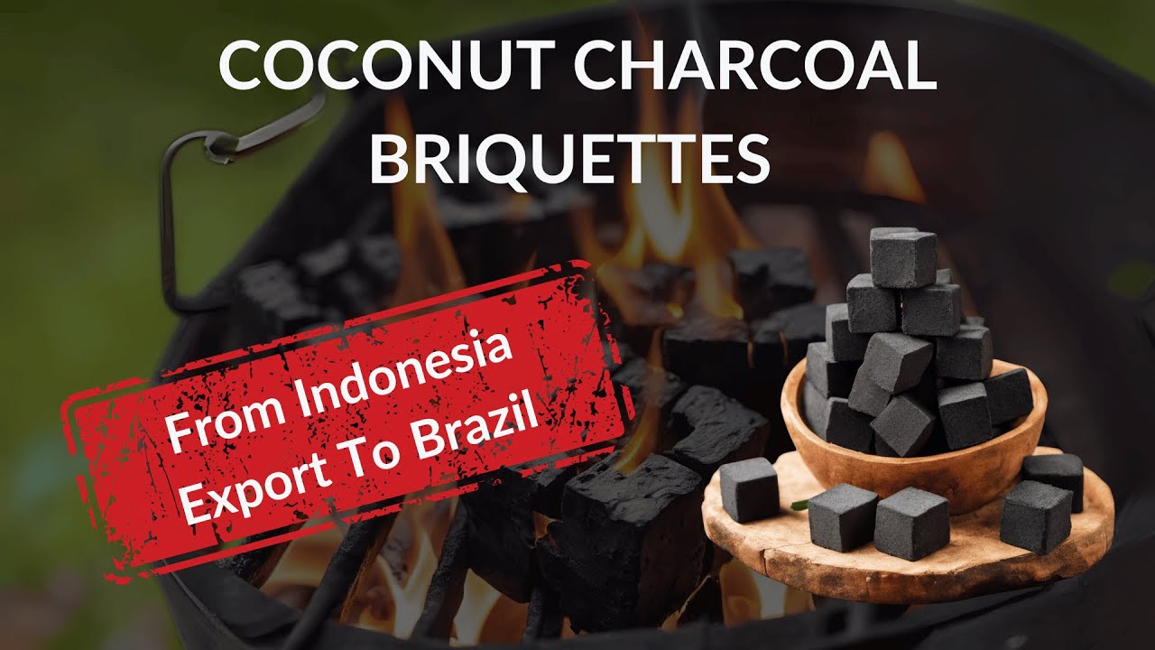 Coconut Charcoal Magic - Elevate Your Grilling Experience | Export to Brazil