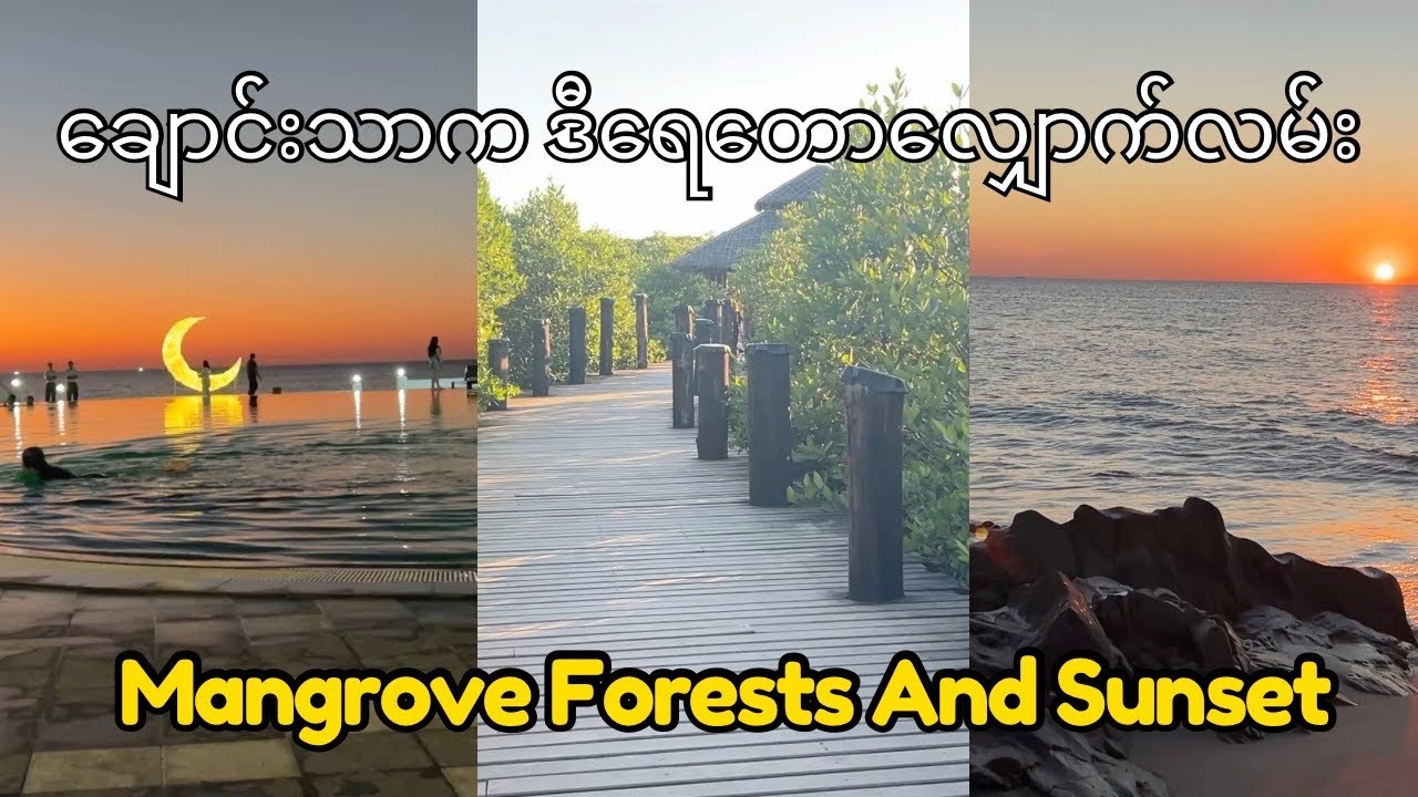 Mangrove Forests And Sunset (ချောင်းသာရဲ့ ဒီရေတော)