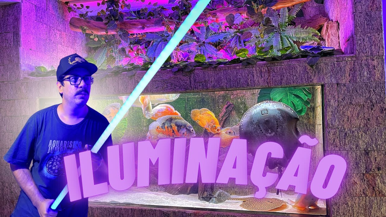 🟣 ILUMINAÇÃO PARA AQUÁRIO JUMBO