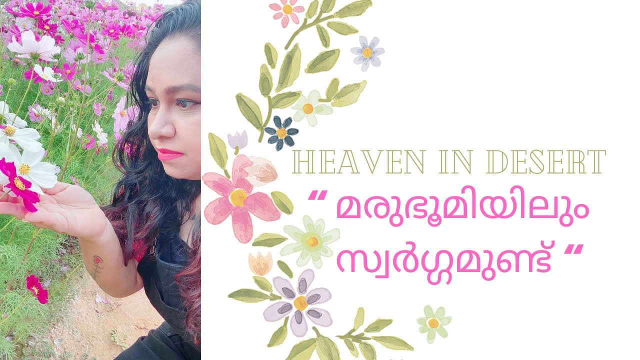 A must visit place in winter in ras al khaimah /Uae Flower Farm / Asimah / top things to do in rak