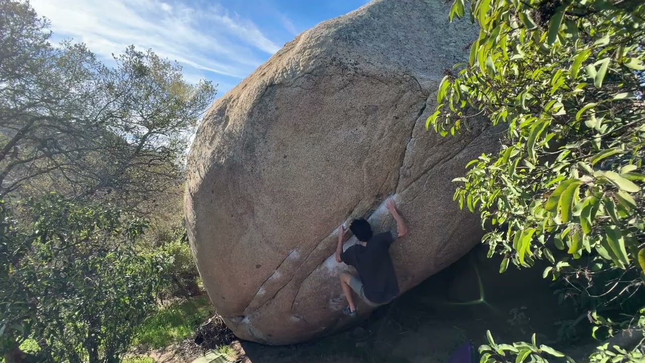 Bloodline v9