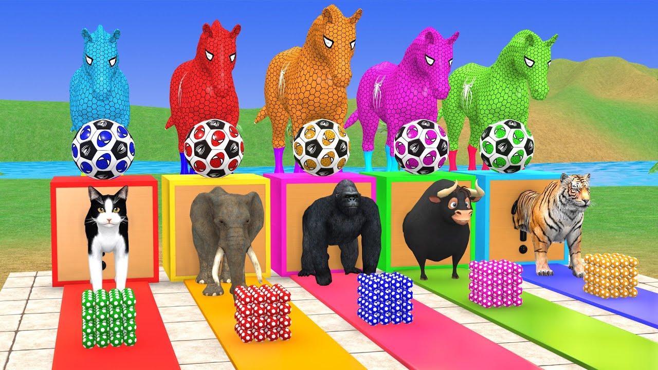 Long Slide Game With Cow Elephant Gorilla Hippopotamus Tiger 3d Animal Game Funny 3d AnimalsVideo