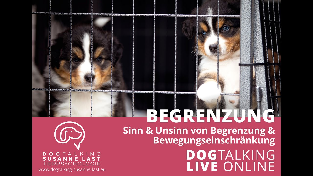 Podcast # 14 Begrenzungen Sinn & Unsinn von Begrenzungen und Bewegungseinschränkungen