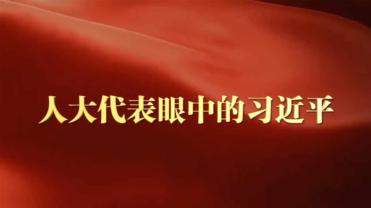人大代表眼中的习近平