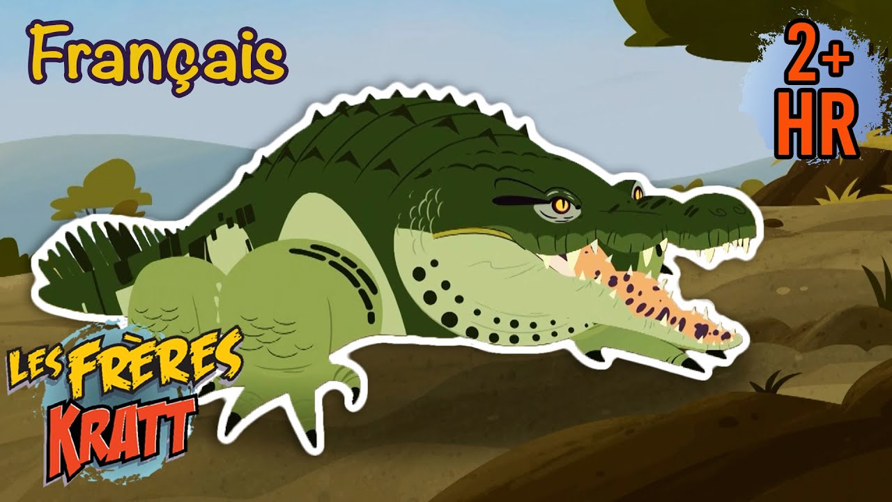 Reptiles de l'eau | Crocodiles, grenouilles et plus encore ! [épisodes complets] Les Frères Kratt