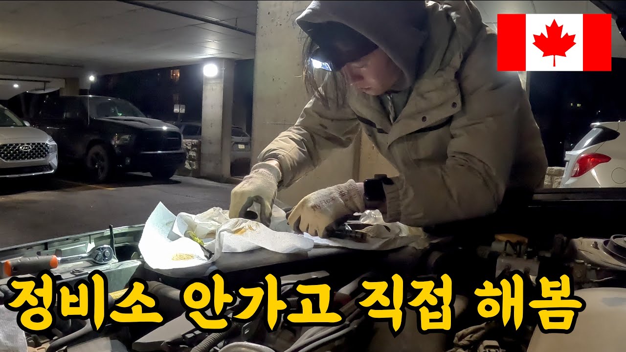 캐나다 워홀러, 정비소 안 가고 차를 직접 고쳐봤습니다. [캐나다 워킹홀리데이]