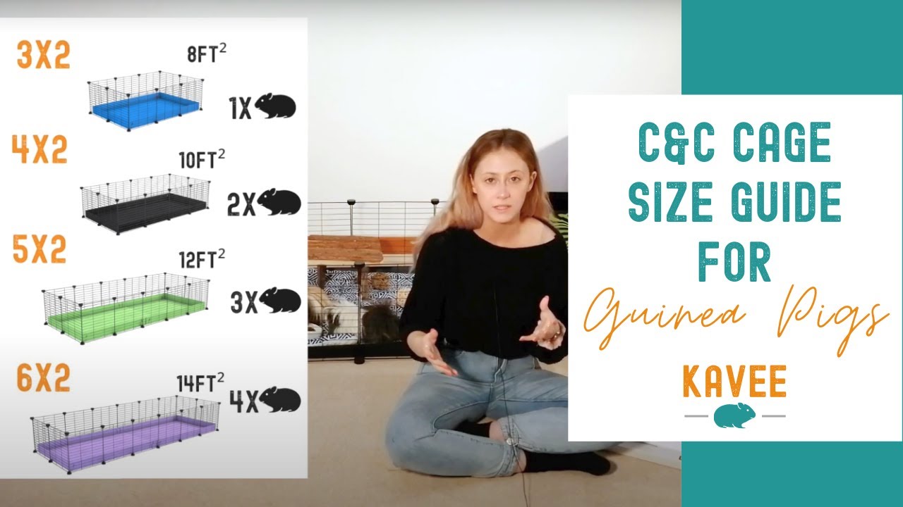 A Quick C&C Cage Sizes Guide | for Guinea Pigs