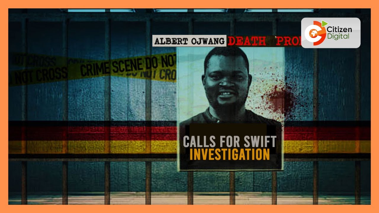 President William Ruto demands through probe into Albert Ojwang's Death