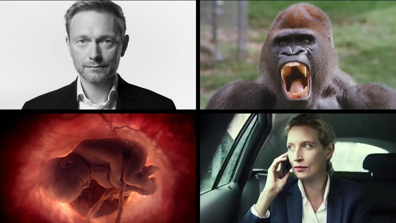 So schlecht sind die Wahlwerbespots