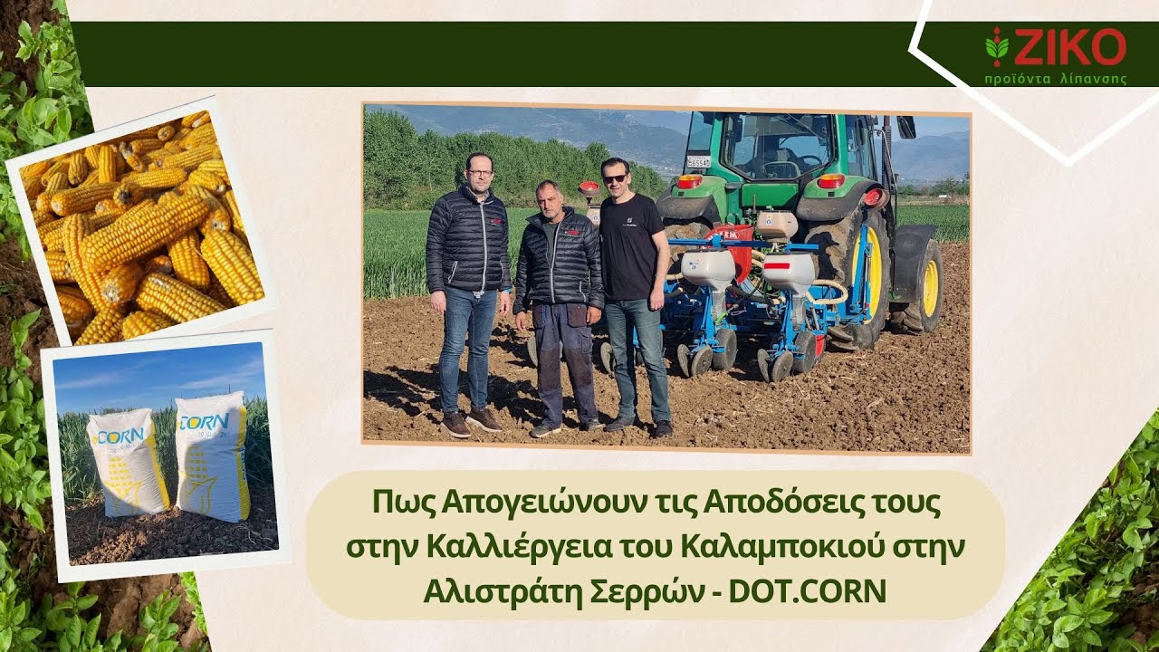 Πως Απογειώνουν τις Αποδόσεις στην Καλλιέργεια του Καλαμποκιού | Αλιστράτη Σερρών - DOT.CORN