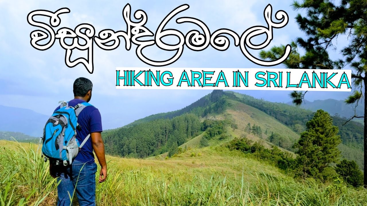 Veesundaramale Peak Hike ⛰️ | ෆයිනස්‌ කැලයක් මැදින් HIKE එකක් යමුද..? | Hidden Mountain in Sri Lanka