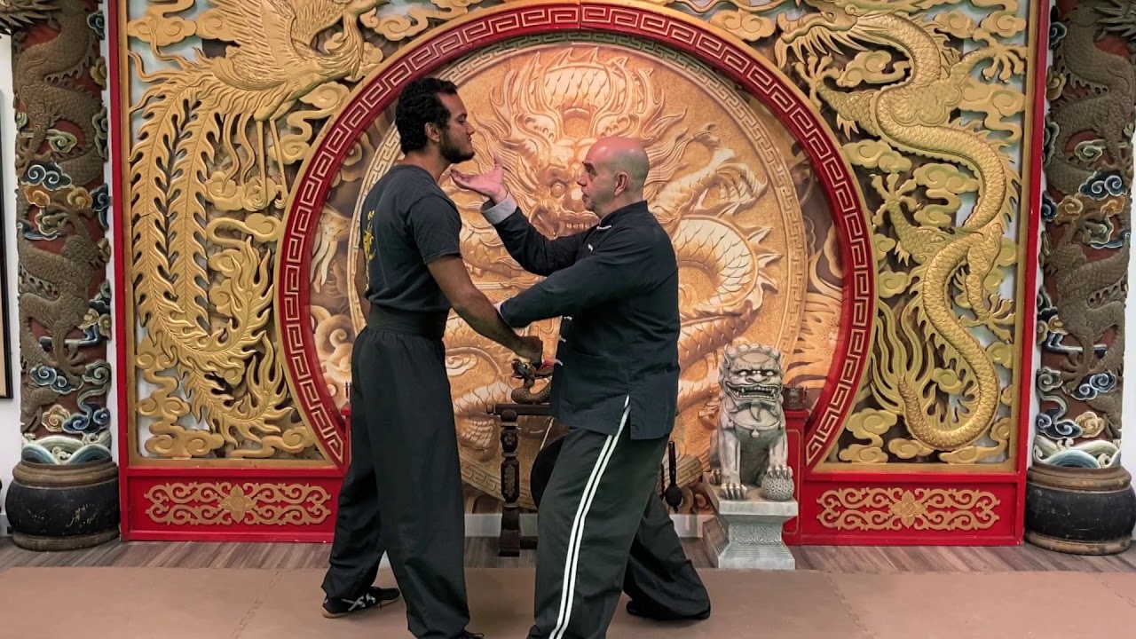 IRON PALM KILLING TECHNIQUES - KUNG FU CONNECTION #kungfu #ironpalm
