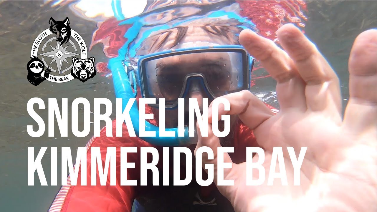 Snorkelling Kimmeridge Bay - The Kimmeridge Snorkel Trail, snorkelling with kids