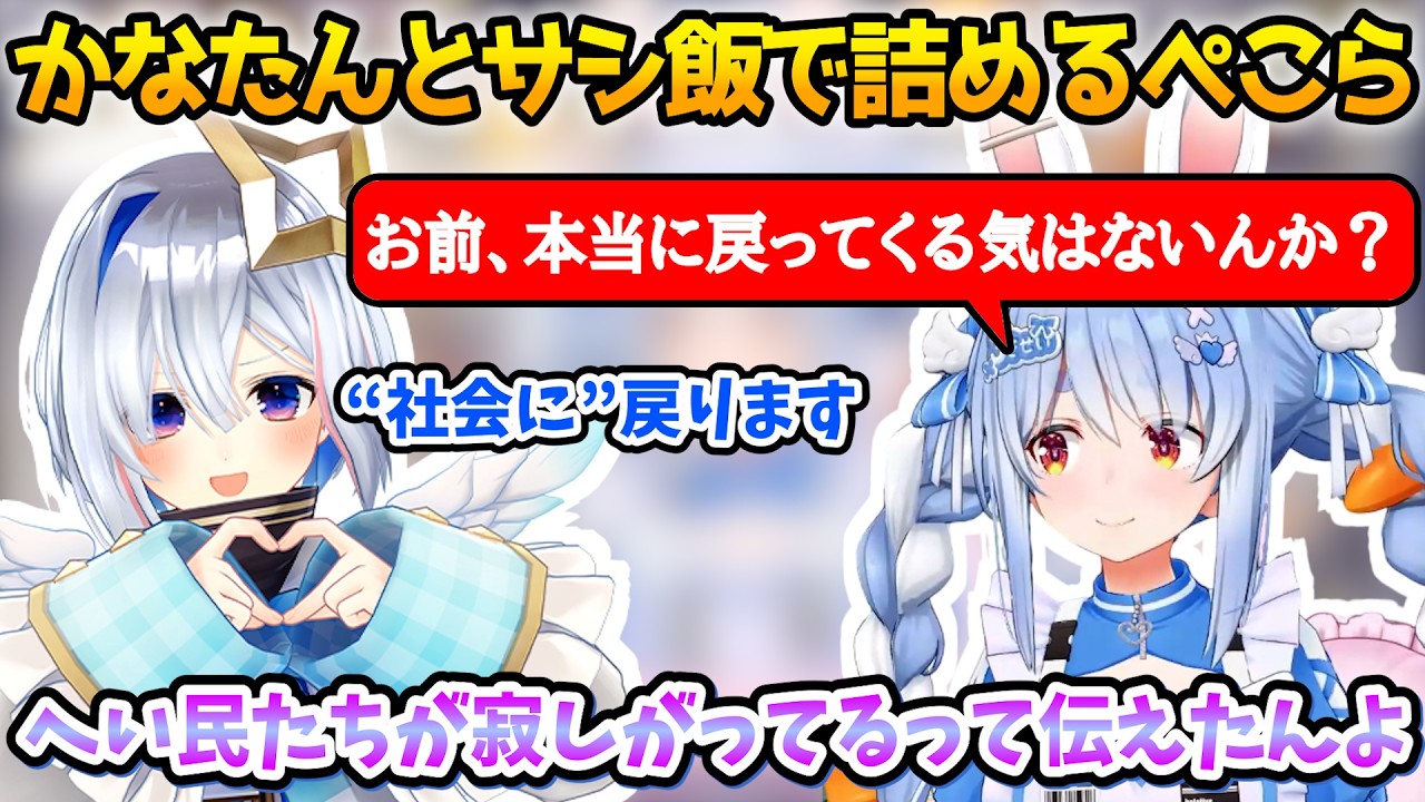 かなたんにヴィヴィと相談したプレゼントを渡し、近況を報告してくれるぺこーら【兎田ぺこら】【天音かなた】