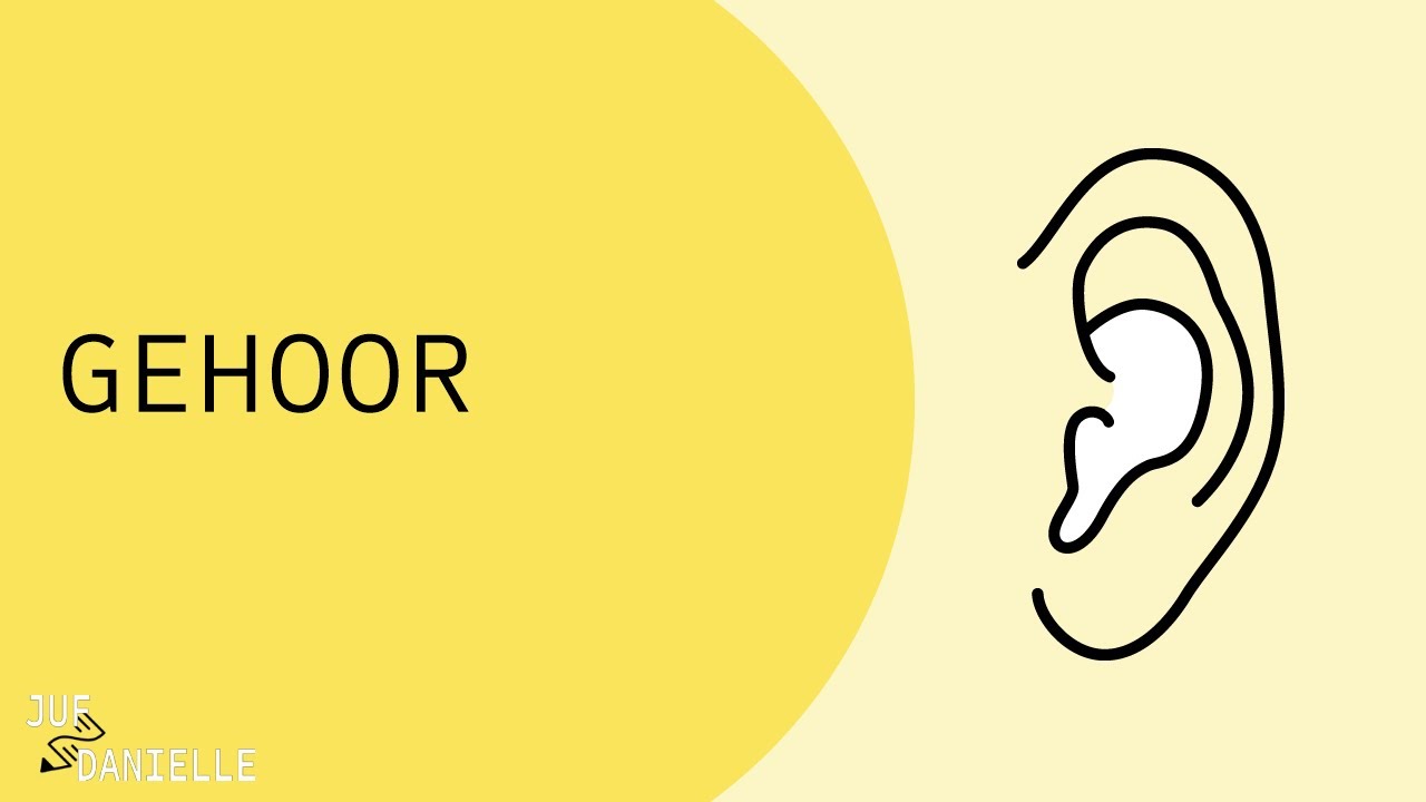 Gehoor: hoe werkt het oor?