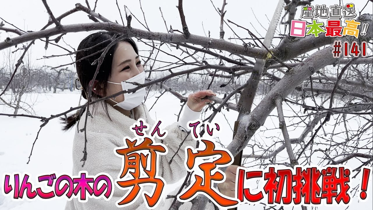 #141 「産地直送日本最高‼︎」