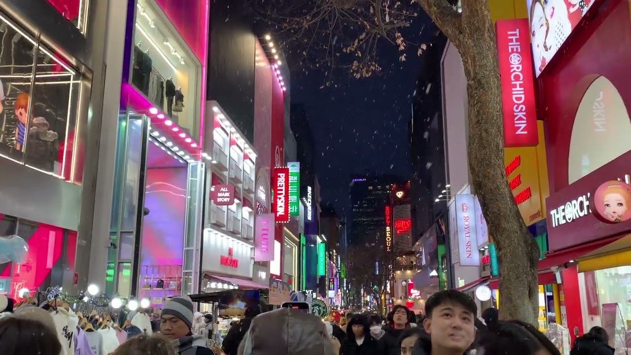 heavy Snowfall in Myeongdong 