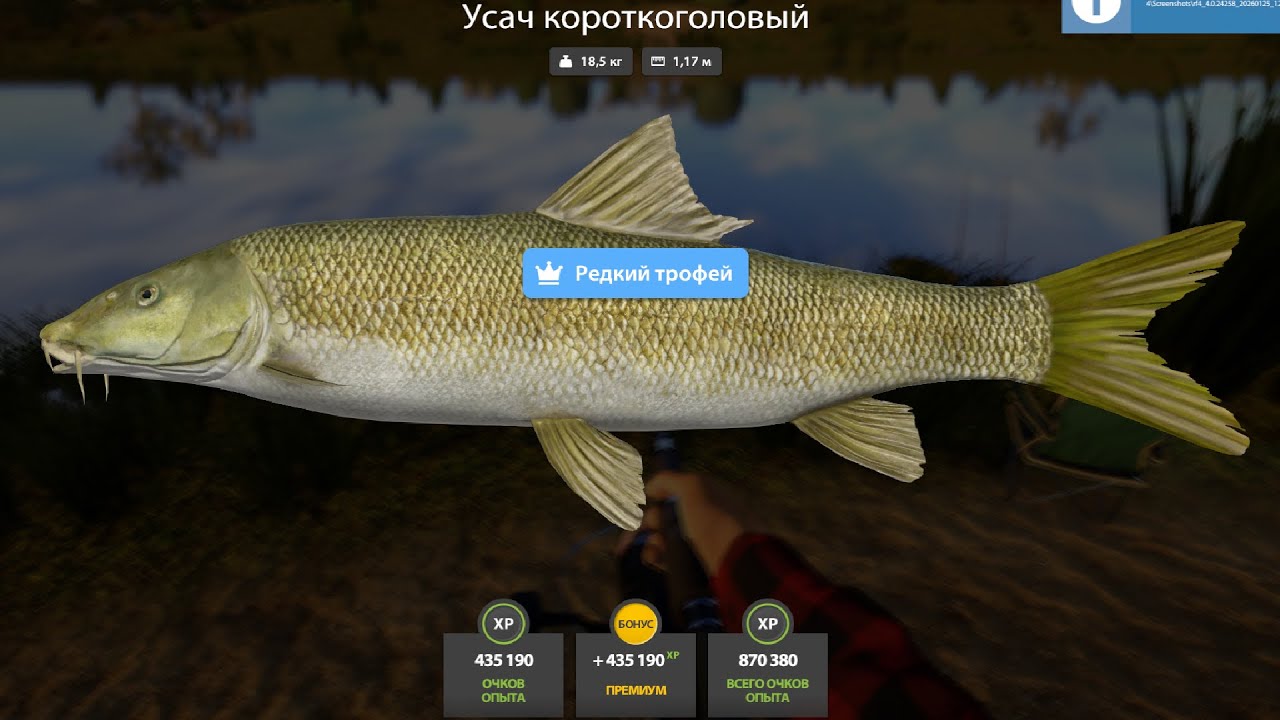 НОВЫЕ ФАРМЫ СЕРЕБРА и РАЗДАЧИ ТРОФЕЕВ! СВОДКА по ВОДОЁМАМ на 26.01 в Русской Рыбалке 4! РР4