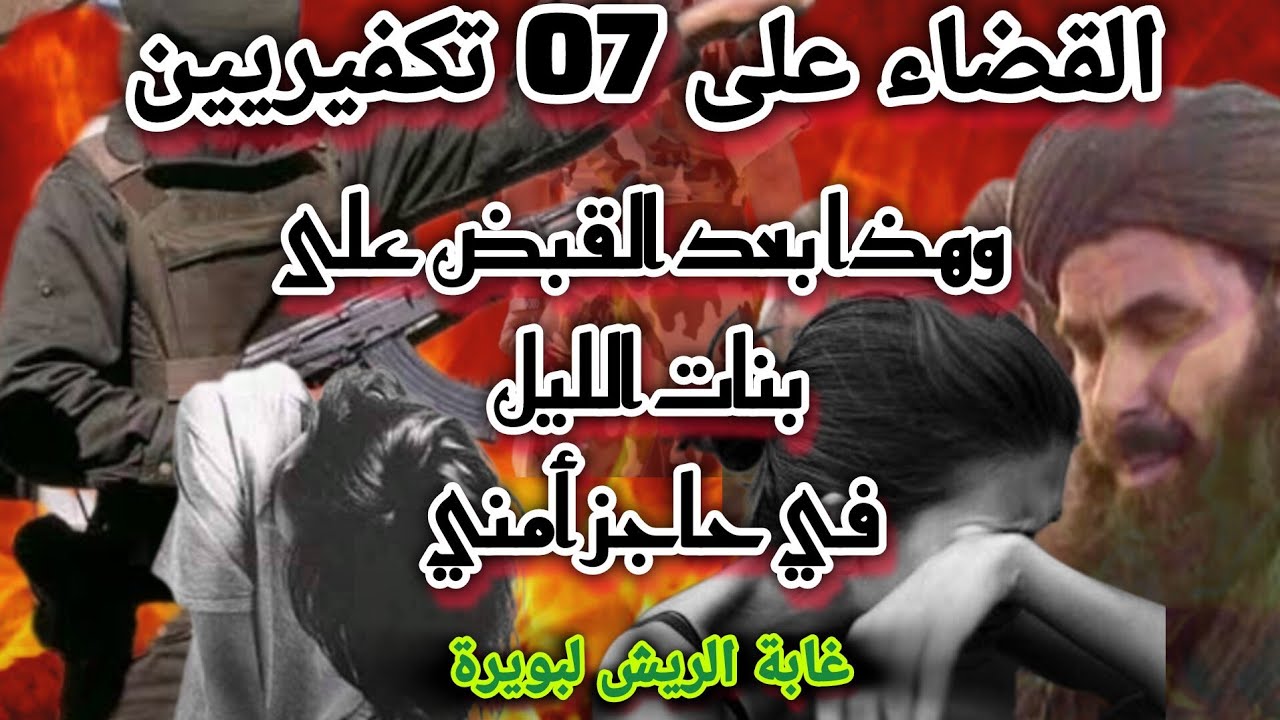 القضاء على 07 دماوين بغابة الريش وهذا بعد القبض على بنات ليل
