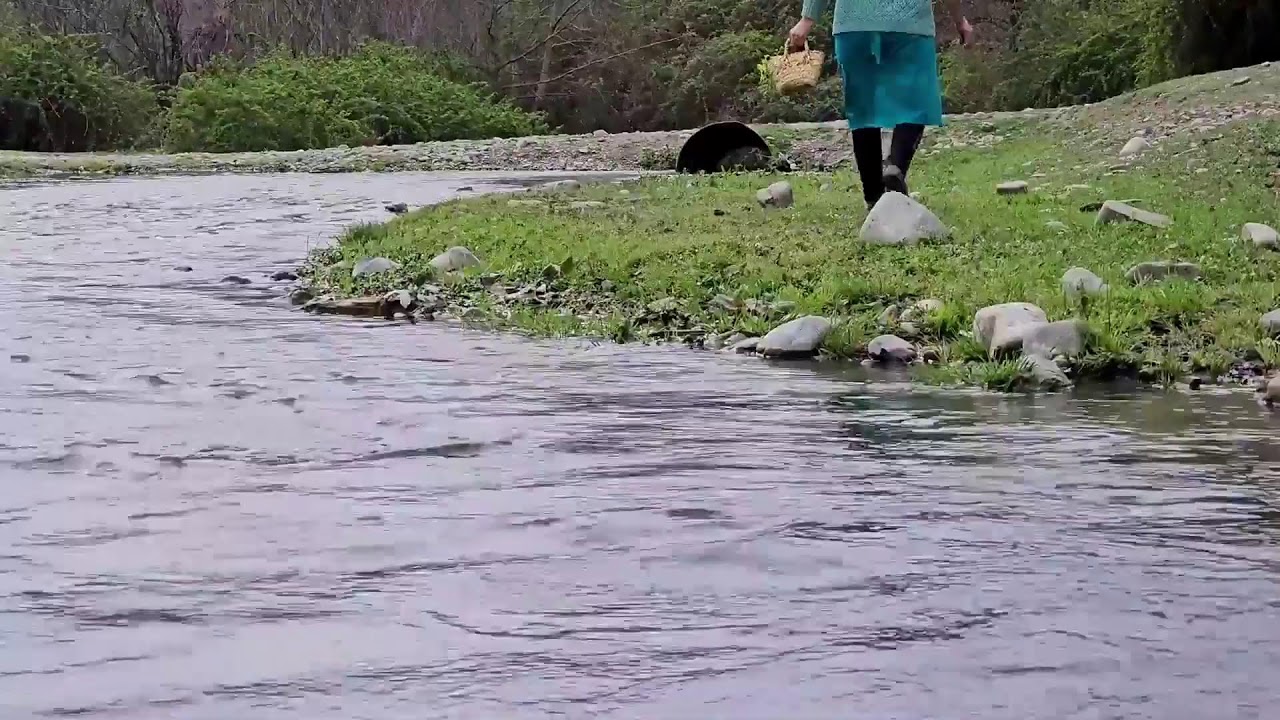 Cooking for the Whole Family Outdoors - Rural Traditions - Farm to Table