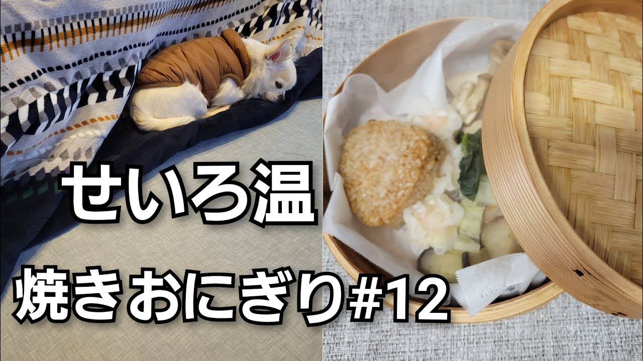 せいろ温｜焼きおにぎり#12。ちはる。#チワワ#チワワのいる暮らし#アラフィフ#静かな暮らし#50代youtube #せいろ蒸し#昼ご飯#蒸し料理