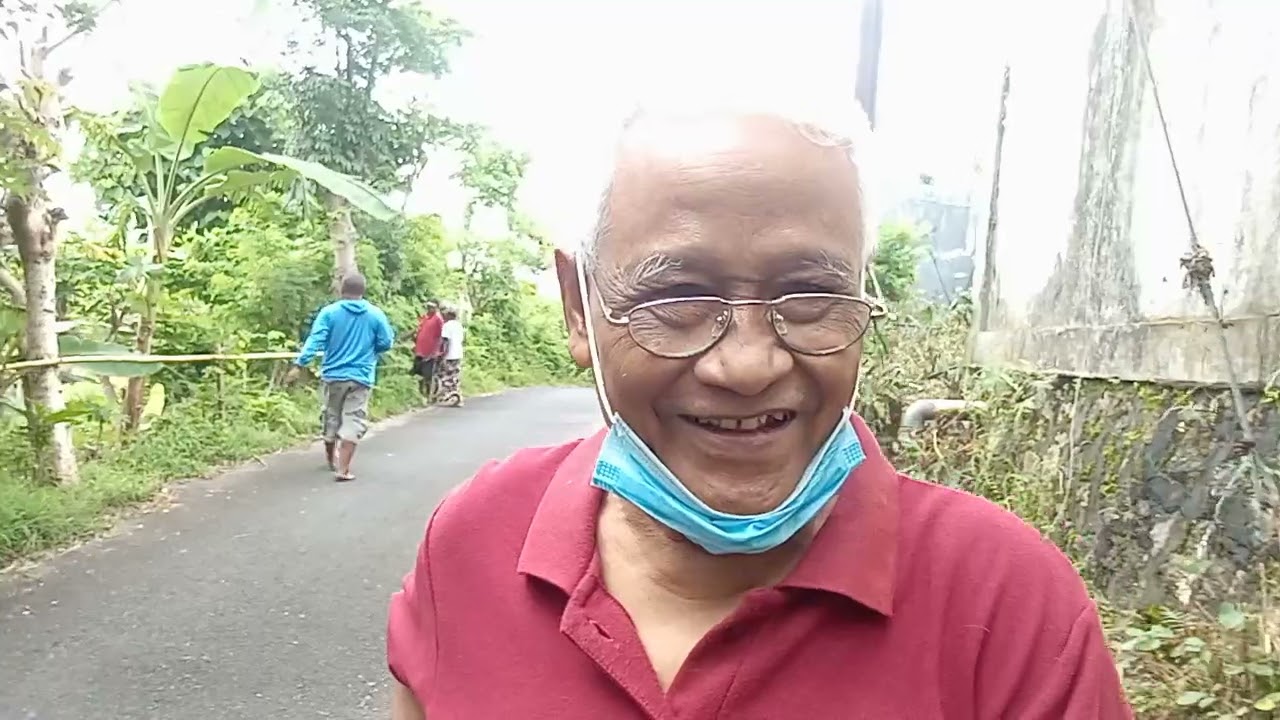 Pemangkasan pohon Plamboyan yg membahayakan Kabel listrik bila Angin kencang dekat Gerbang villa 