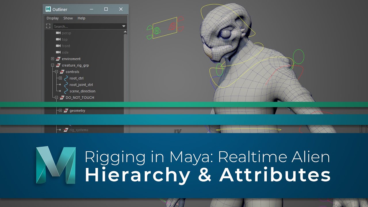 #RiggingInMaya | Part 08 | Hierarchy & Attributes