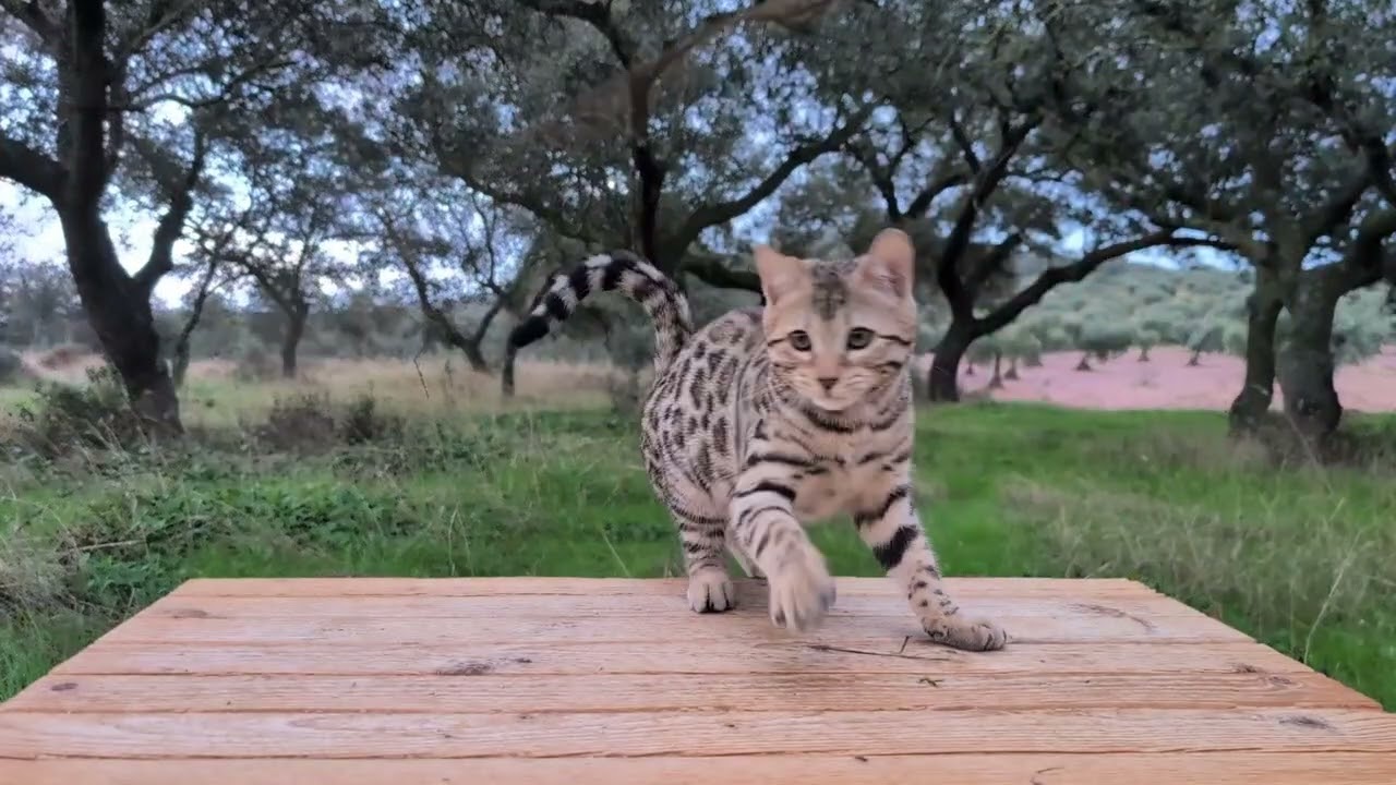 Sundiata Uni at 4 months old