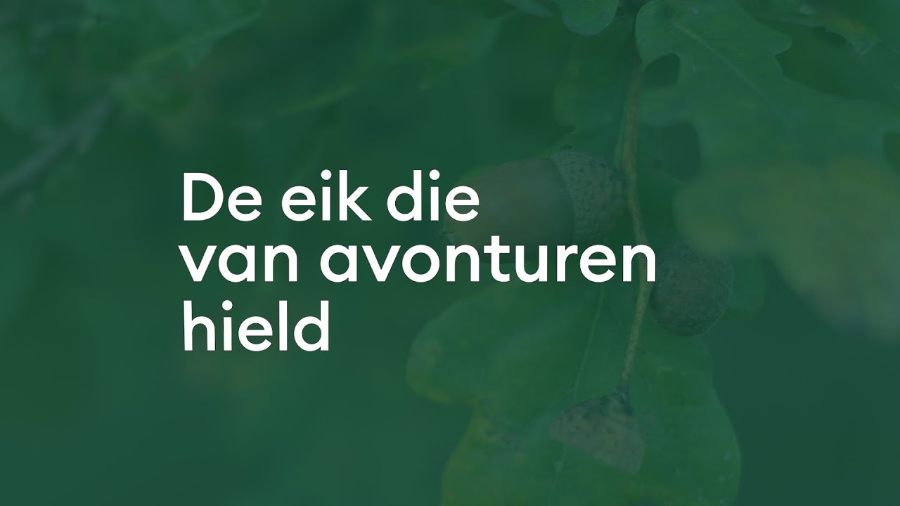 De eik die van avonturen hield
